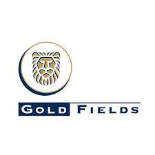 General Manager and Head of Joint Venture at Gold Fields